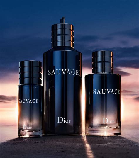 sauvage dior parfum 200ml price|Dior Sauvage cheapest deals.